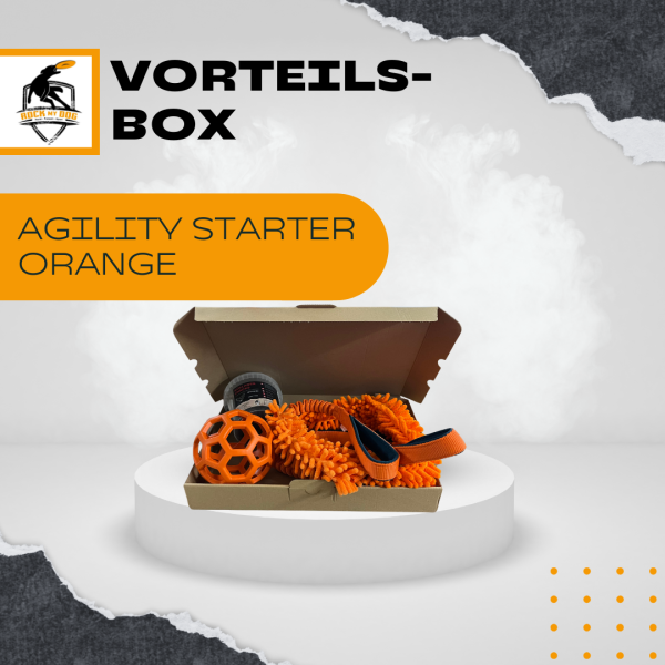 Agility Starter Set orange