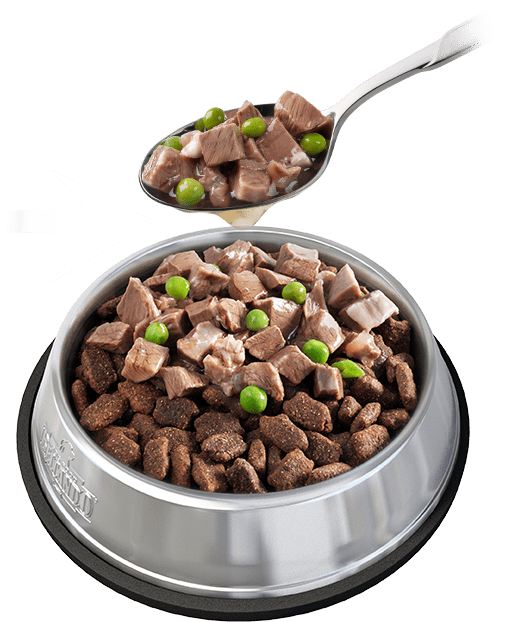 Mastercraft Topping Lamb | Mastercraft | Trockenfutter | Rock My Dog |  rockmydog.de