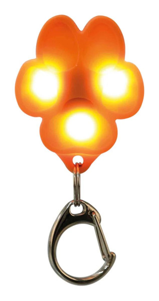 Flasher USB