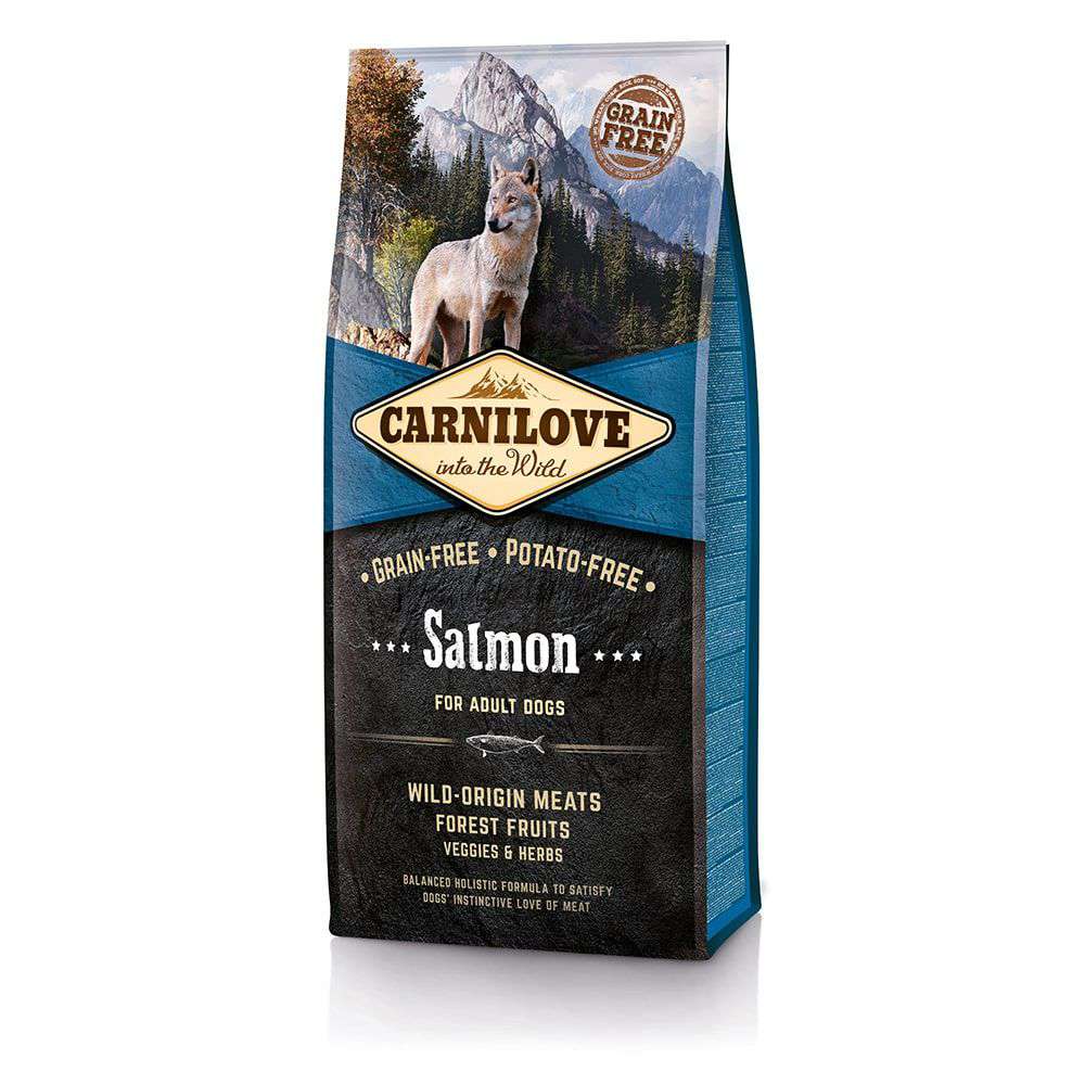 Carnilove Hund Salmon ausgewachsene Hunde Carnilove Trockenfutter Rock My Dog rockmydog