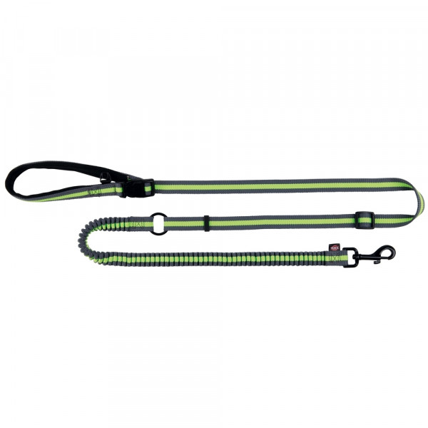Joggingleine, 1,33–1,80 m/20 mm, grau/grün