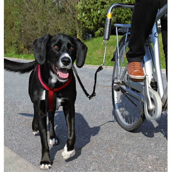 Hunde Biker Set