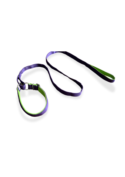 Rocka - Agilityleine 2 in 1 mit Halsband