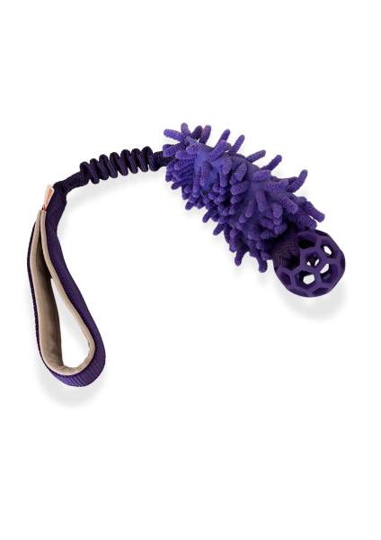 Rocka Bungee, Mop und JW Ball Gr. XS