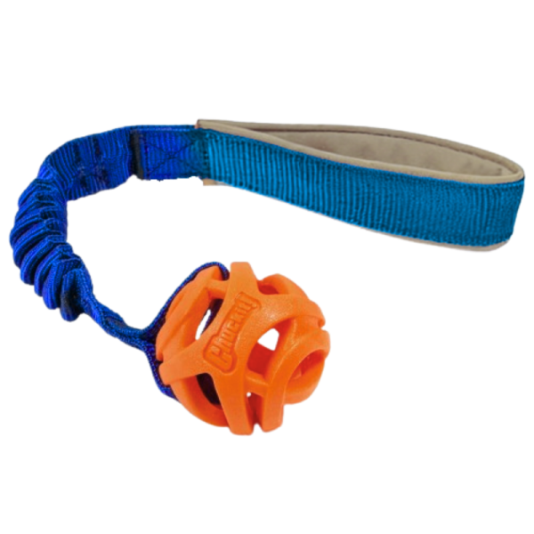 Rocka Bungee mit ChuckIt Breath Gr. M