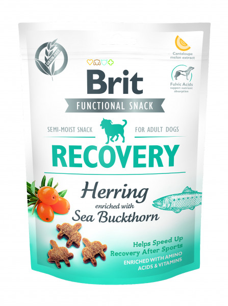 Brit Functional Snack Erholung (Recovery)