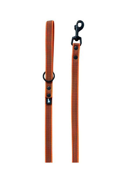 Pawee - Leine GRIP LEASH 120